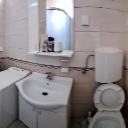 Zoran Kragujevac