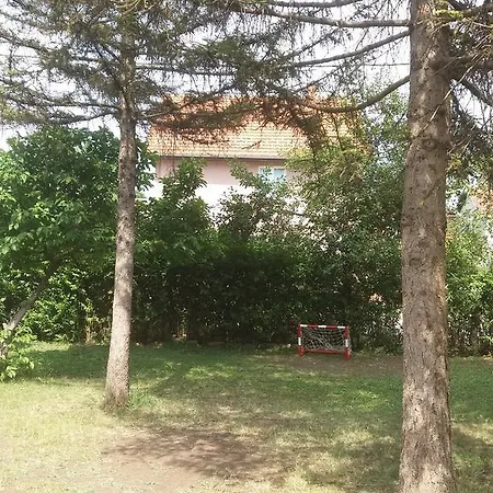 Zoran